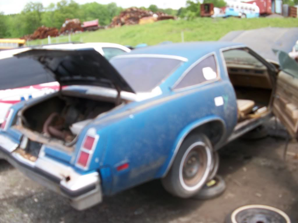 http://i282.photobucket.com/albums/kk241/jimmyfloyd182/For%20Sale/junkyardCars/GarysUPullIt_General/2011_05_27/100_1152.jpg