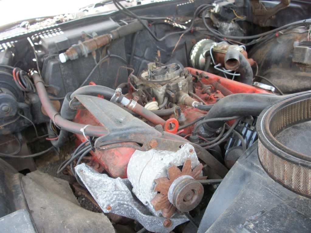 http://i282.photobucket.com/albums/kk241/jimmyfloyd182/For%20Sale/junkyardCars/GarysUPullIt_General/2011_06_10/100_1436.jpg