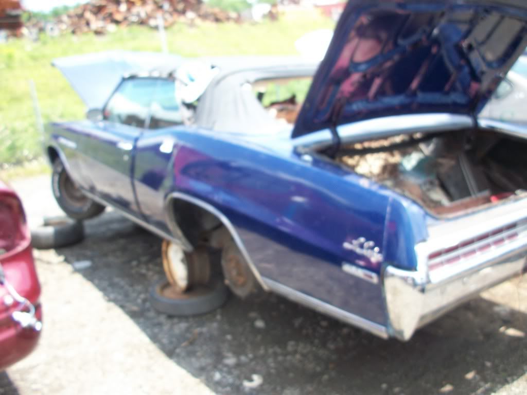 http://i282.photobucket.com/albums/kk241/jimmyfloyd182/For%20Sale/junkyardCars/GarysUPullIt_General/2011_06_10/100_1442.jpg