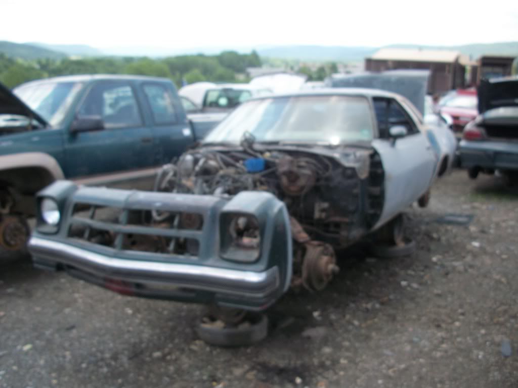 http://i282.photobucket.com/albums/kk241/jimmyfloyd182/For%20Sale/junkyardCars/GarysUPullIt_General/2011_06_10/100_1456.jpg