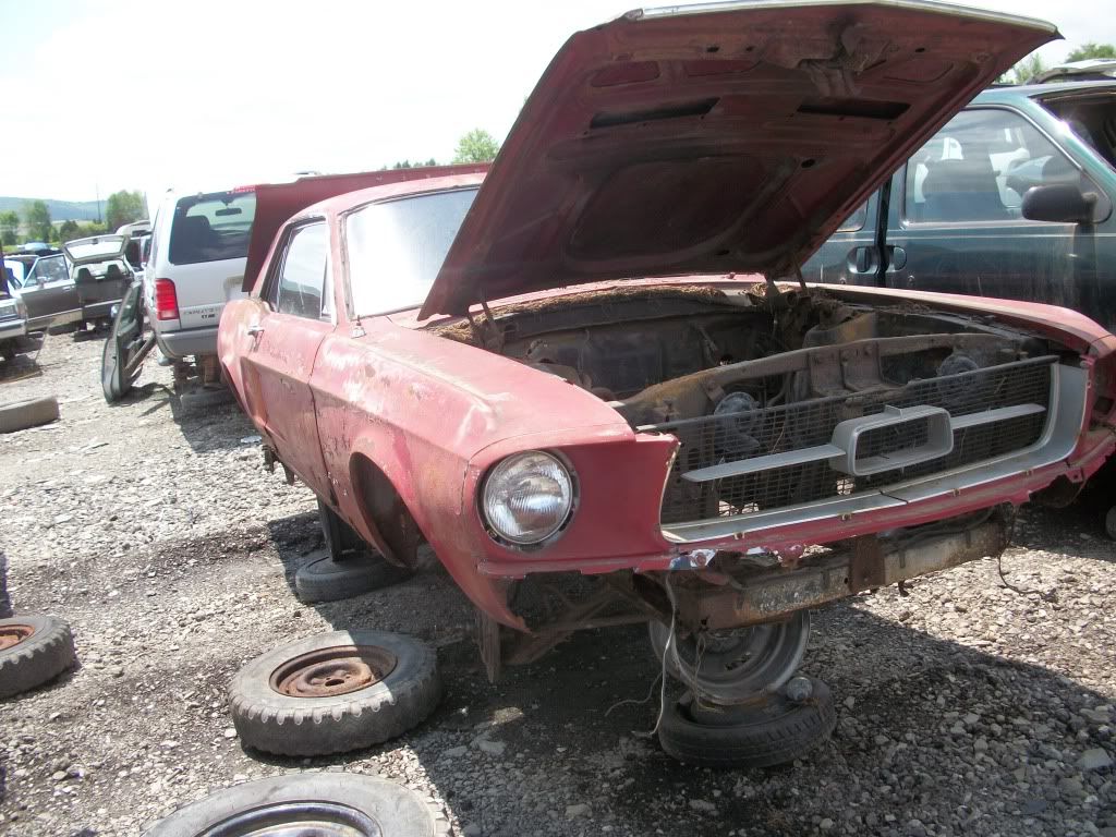 http://i282.photobucket.com/albums/kk241/jimmyfloyd182/For%20Sale/junkyardCars/GarysUPullIt_General/2011_06_10/100_1506.jpg