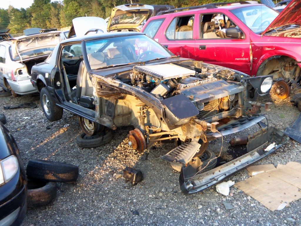 http://i282.photobucket.com/albums/kk241/jimmyfloyd182/For%20Sale/junkyardCars/GarysUPullIt_General/2011_09_15/100_0860.jpg