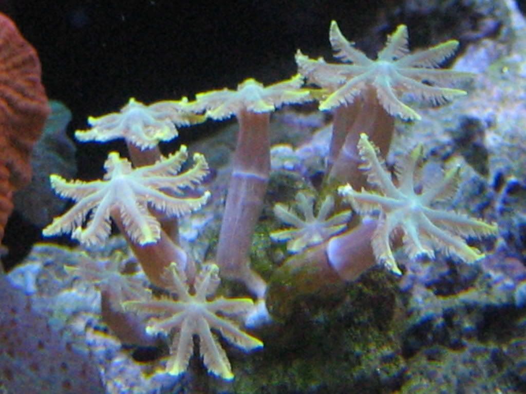 IMG_0857.jpg