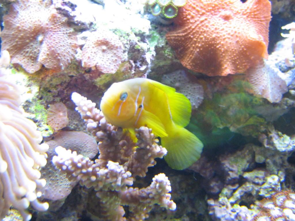 IMG_0869.jpg