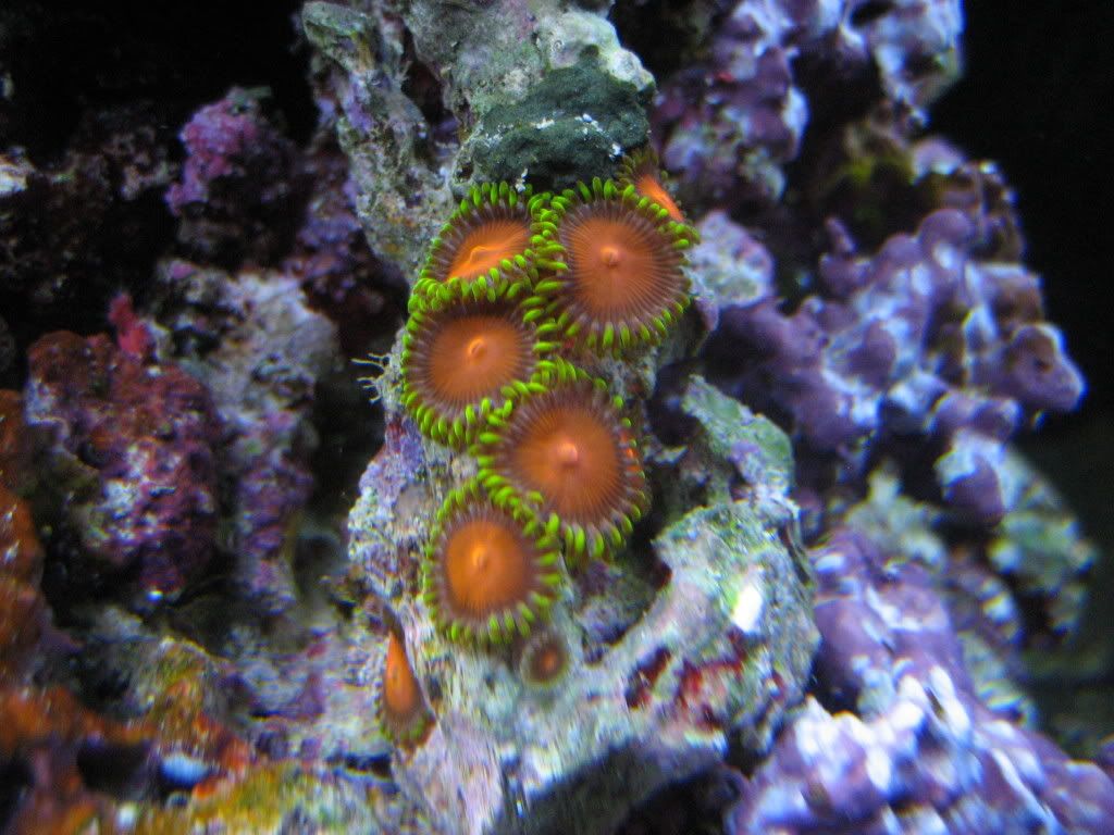 IMG_0895.jpg