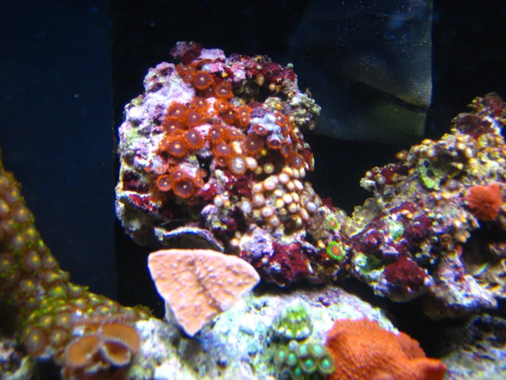 IMG_0904.jpg