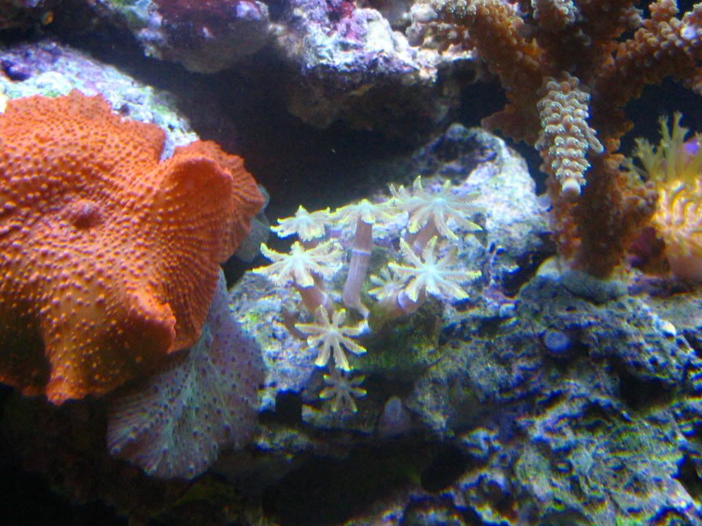 IMG_0917.jpg