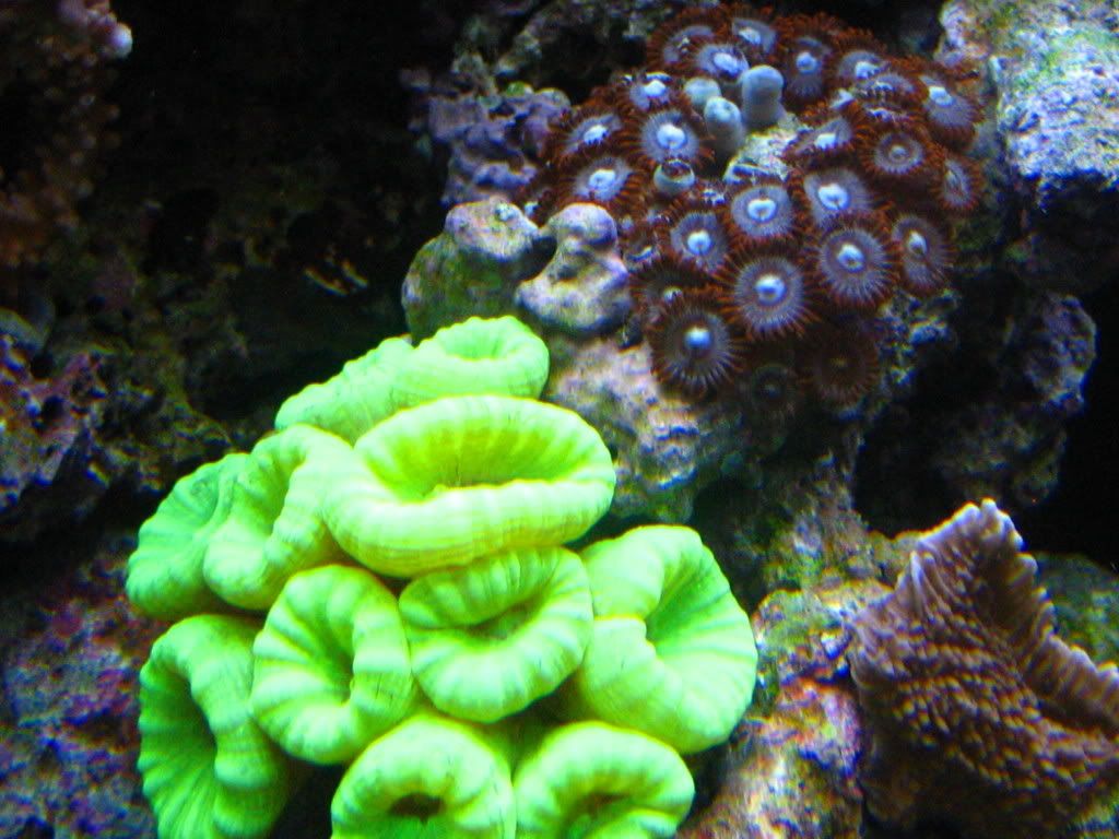 IMG_0925.jpg