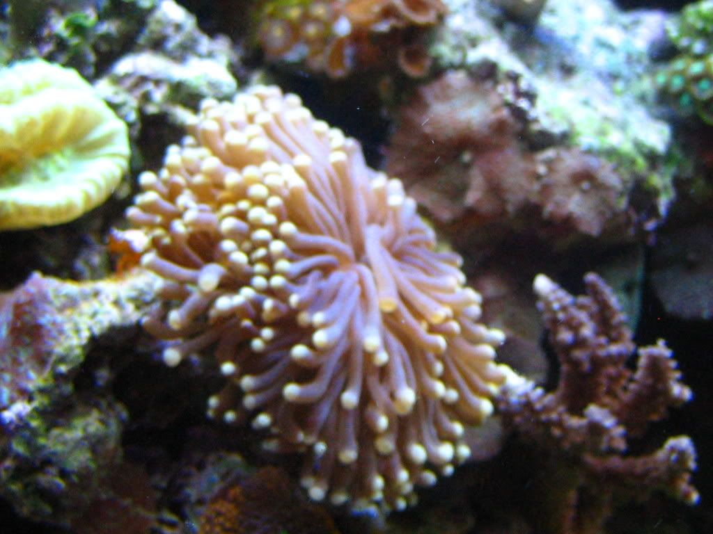 IMG_0926.jpg