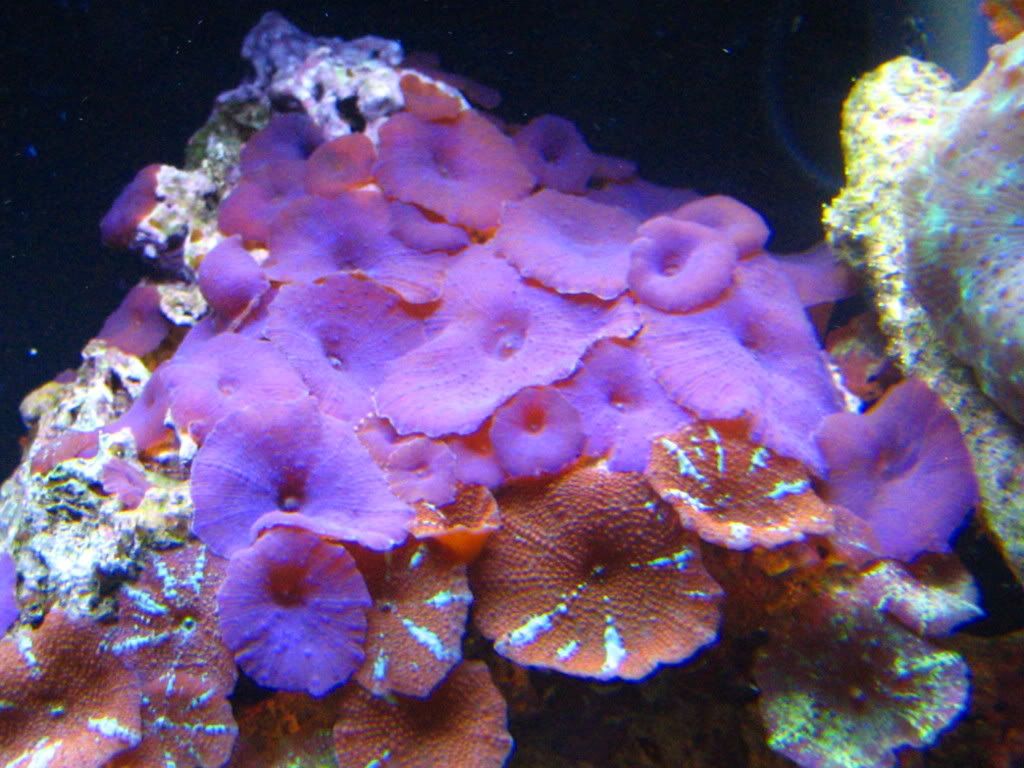 IMG_0927.jpg