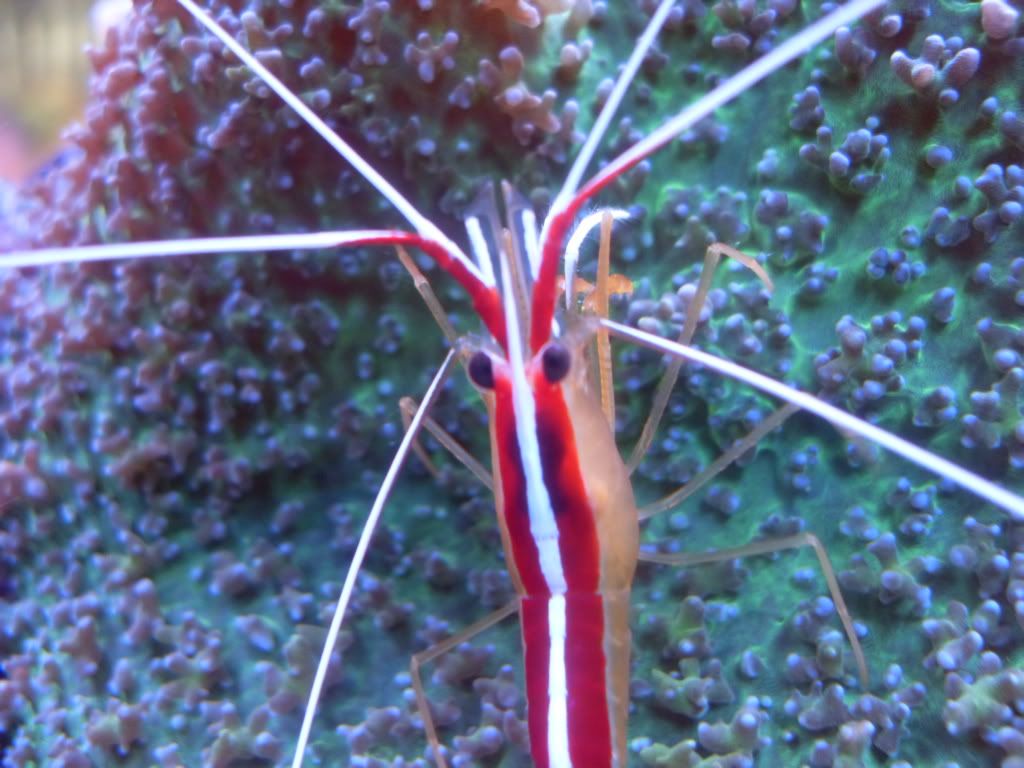 SDC11322.jpg