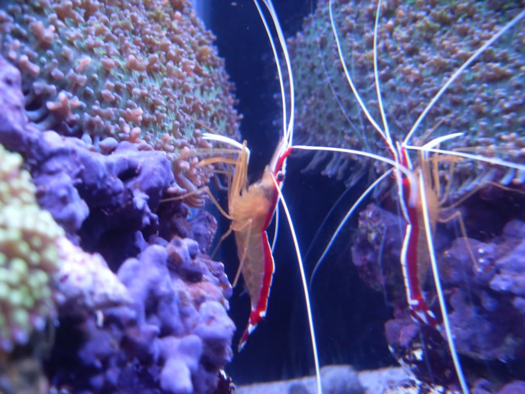 SDC11346.jpg