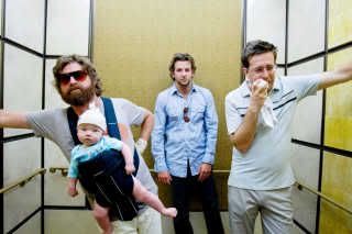 the hangover Pictures, Images and Photos