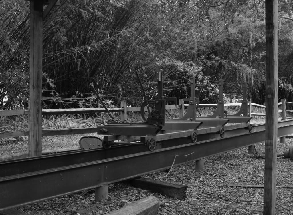 IMAGE: http://i282.photobucket.com/albums/kk244/nprdavid/lumber.jpg