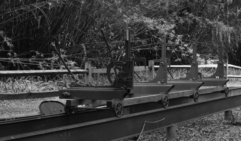 IMAGE: http://i282.photobucket.com/albums/kk244/nprdavid/lumber2.jpg