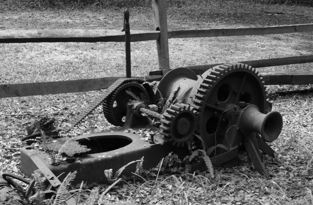 IMAGE: http://i282.photobucket.com/albums/kk244/nprdavid/transmission.jpg