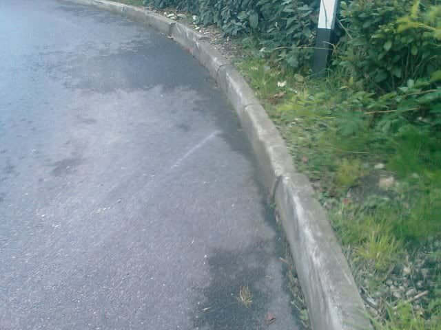 IMAG0110.jpg