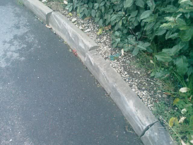 IMAG0111.jpg