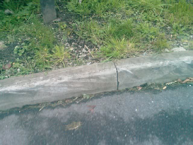 IMAG0114-1.jpg