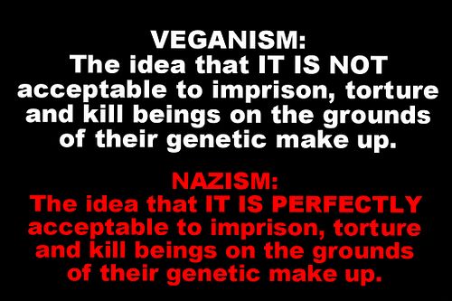 23638a20-90ee-44dc-9ff0-e5d090f92143_zpsced22aaa.jpg%7Eoriginal?width=500