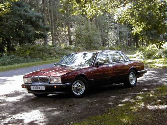 Jaguar2.gif