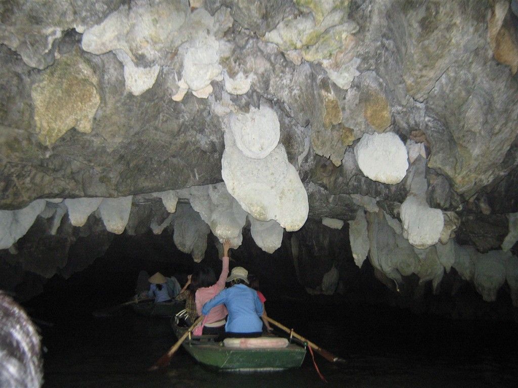IMG_7332.jpg