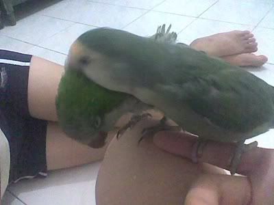 Awwww so sweet