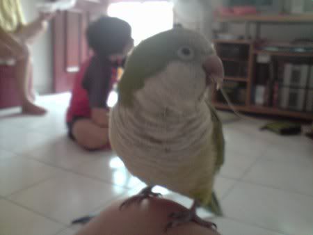 Tracy   XD