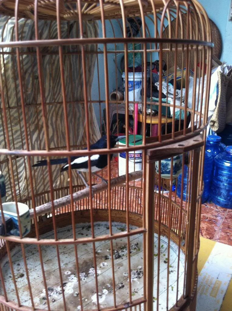 Cho ra đi 1 em than con 2 mùa