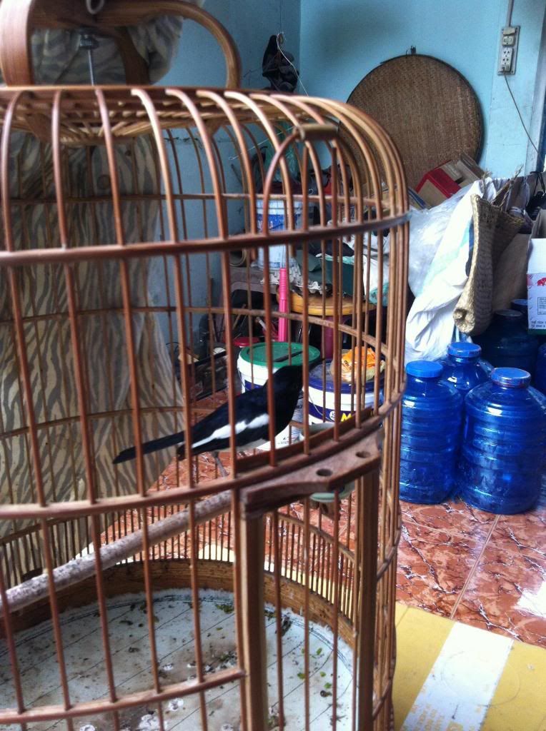 Cho ra đi 1 em than con 2 mùa - 1