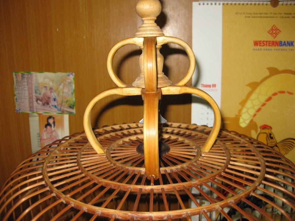 Dư dùng cho ra đi vài cái lồng chòe than - 2