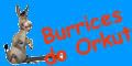Burrices do Orkut