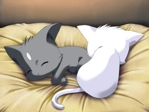 pictures of anime cats. is a anime pic of cats.