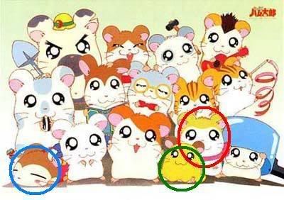 Hamtaro Pictures, Images and Photos