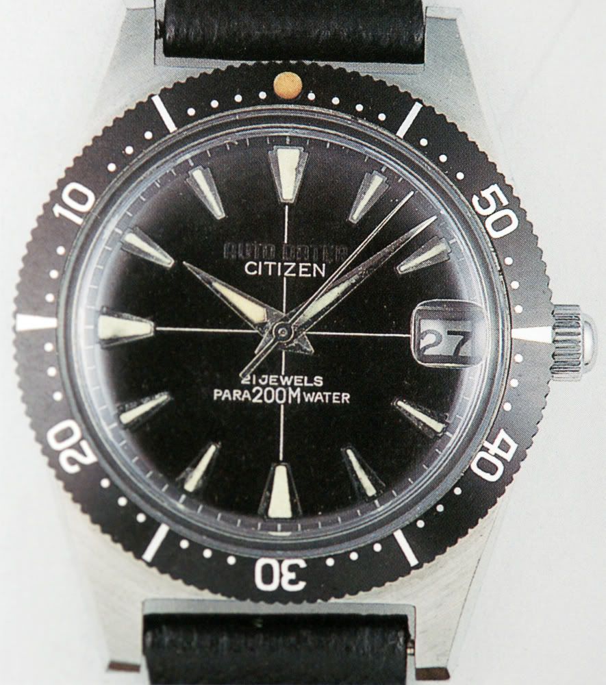 citizen professional diver