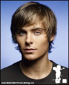 zacdavidefron.blog.cz