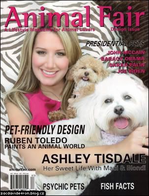 zacdavidefron.blog.cz