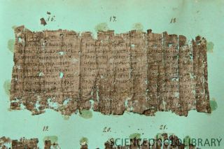Papyrus at Herculaneum