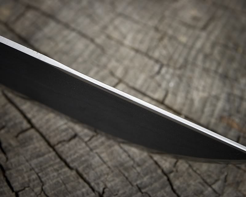 [Linked Image from i282.photobucket.com]