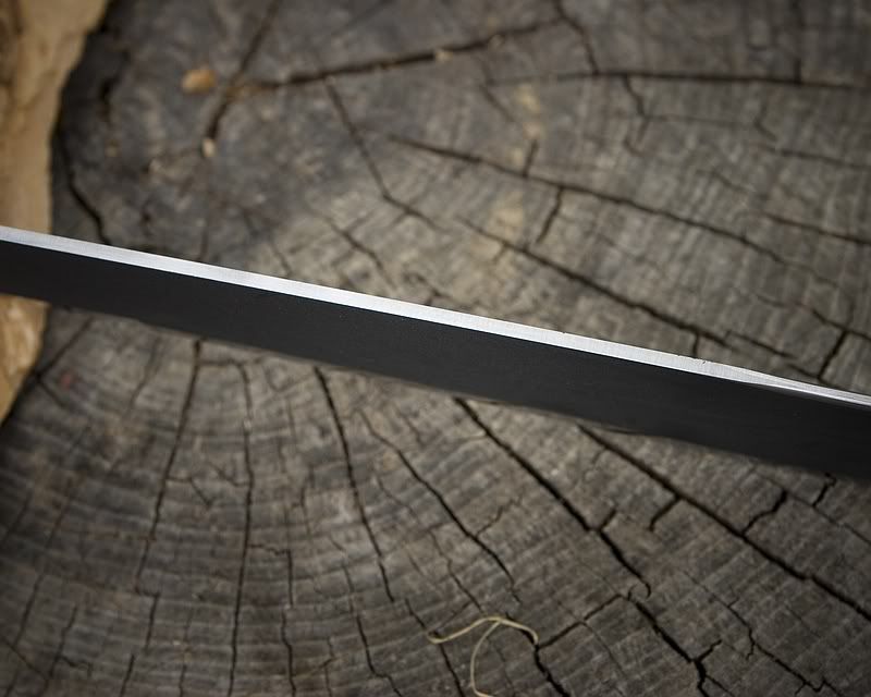 [Linked Image from i282.photobucket.com]