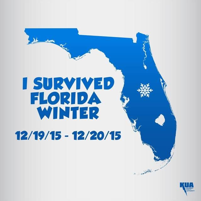 Florida%20Winter.jpg