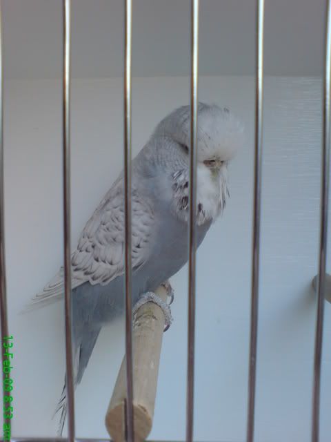 DSC03507.jpg