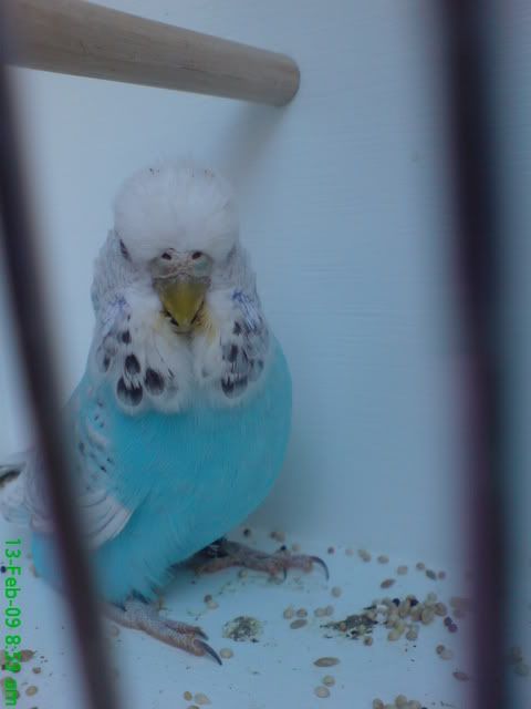 DSC03516.jpg