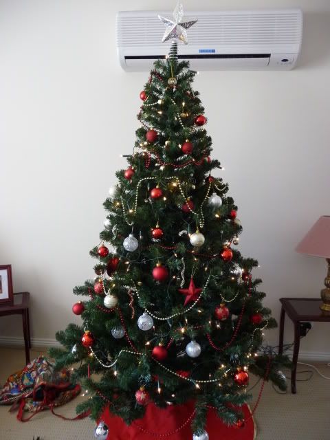 P1000579.jpg