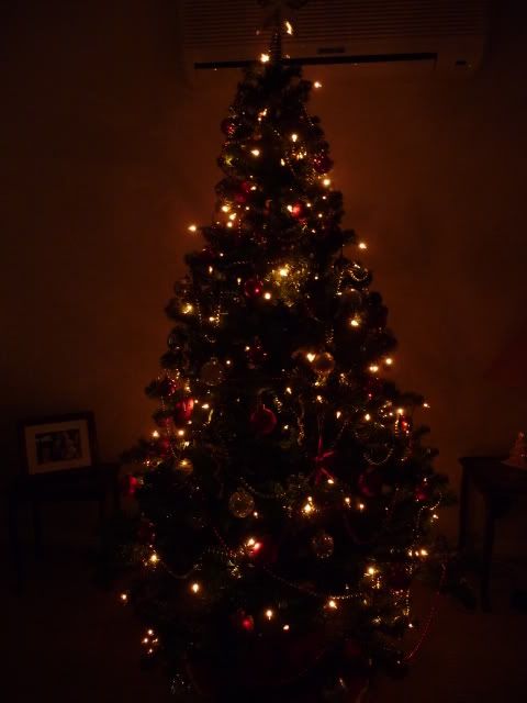 P1000592.jpg