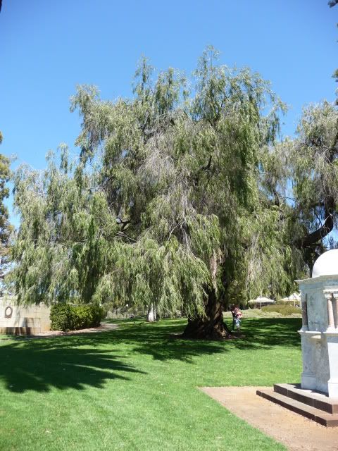 P1000698.jpg