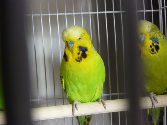 P1000823.jpg