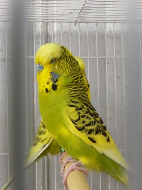 P1000830.jpg