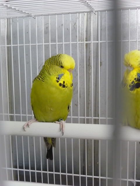 P1000847.jpg