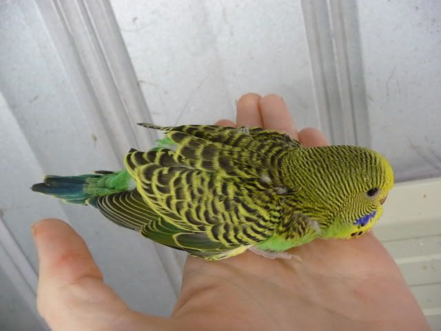 P1000855.jpg